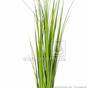 Umělý svazek trávy Rákos obecný 45 cm