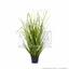 Umělý svazek trávy Rákos obecný v květináči 60 cm