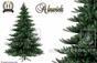 Umělý vánoční stromek Jedle Nordmann Alnwick 270 cm