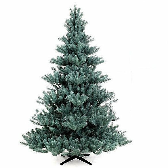 Umělý vánoční stromek Modrá Jedle Pomeroy 200 cm