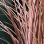 Umělý zapichovací svazek trávy burgundy 40 cm