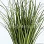 Umělý zapichovací svazek trávy Rákos obecný 80 cm