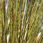 Umělý zeleno-hnědý zapichovací svazek trávy Ozdobnice čínská 85 cm