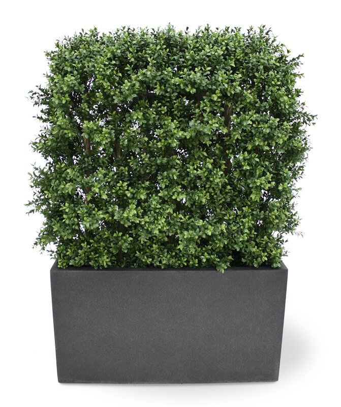 Umělý buxusový živý plot Deluxe 80x100 cm