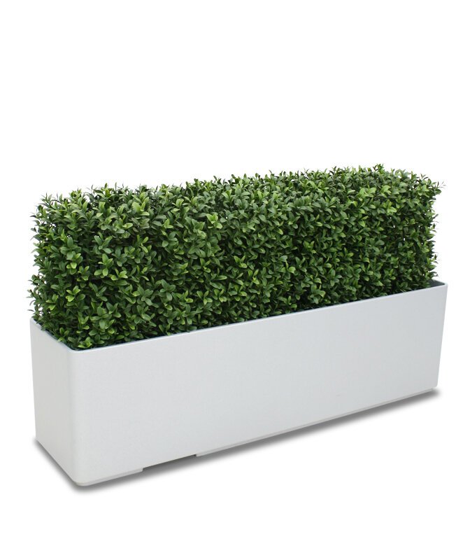 Krásný umělý buxusový živý plot Deluxe 80x27 cm